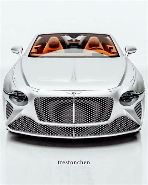 bentley hermes edition|Bentley Bacalar Rendered in Matte Silver with Hermes Interior.